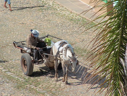 12-On the Plaza Mayor.jpg - On the Plaza Mayor